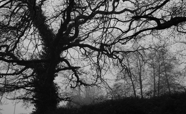 Photography 2 - image eleven