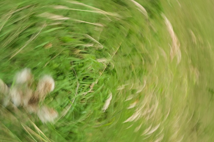 Photography 3 - image fourteen