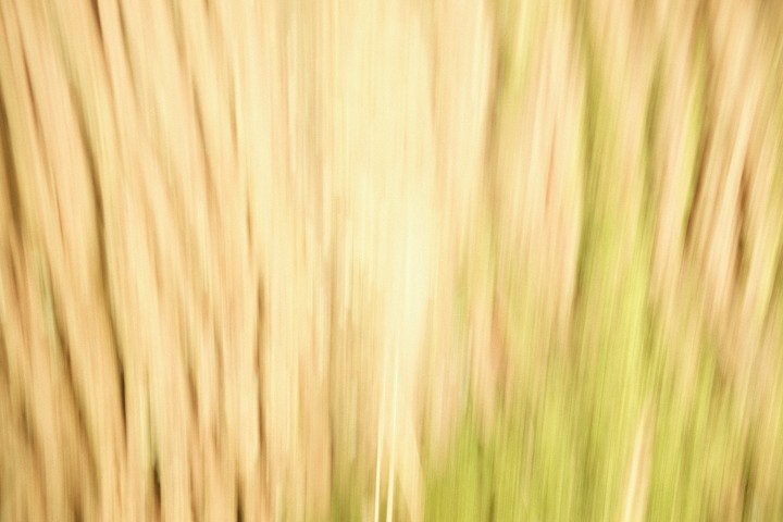 Photography 3 - image sixteen