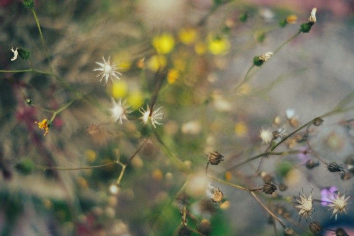 Photography 1 - image two